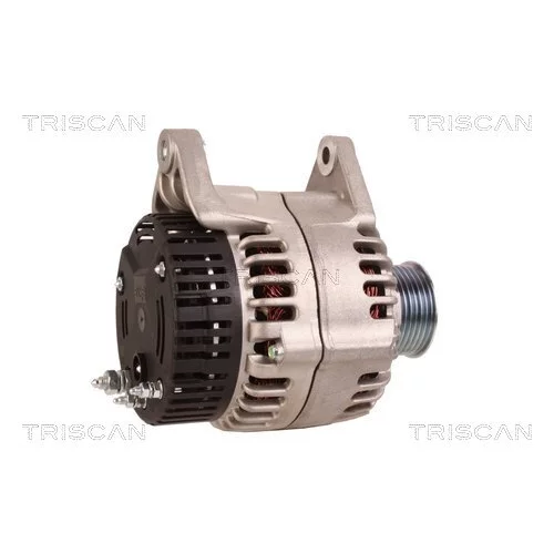 Alternátor 8310 10015 /TRISCAN/ - obr. 2