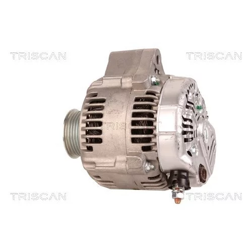 Alternátor 8310 10017 /TRISCAN/ - obr. 7