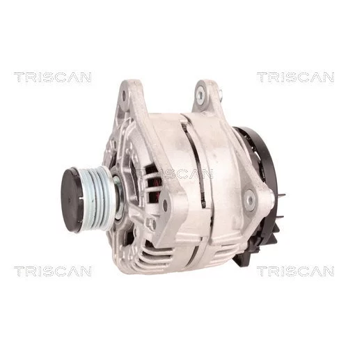 Alternátor 8310 10039 /TRISCAN/ - obr. 6