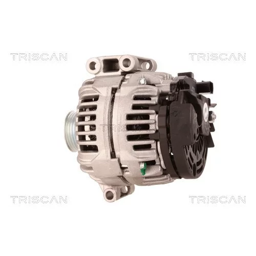 Alternátor 8310 10048 /TRISCAN/ - obr. 7