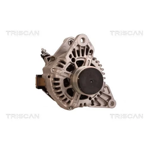 Alternátor 8310 10095 /TRISCAN/ - obr. 4