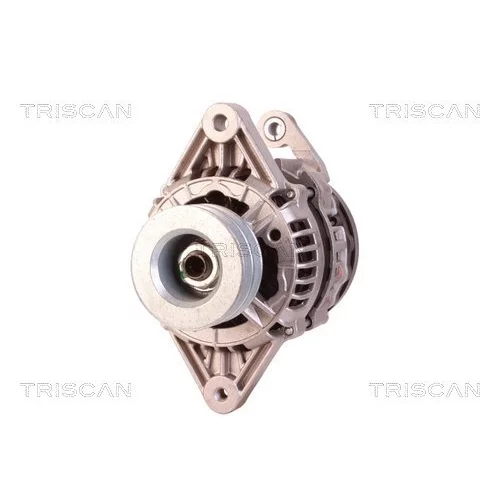 Alternátor 8310 10095 /TRISCAN/ - obr. 5