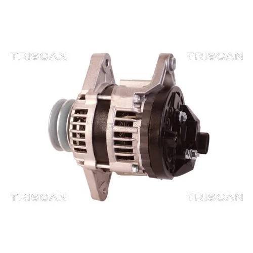 Alternátor 8310 10095 /TRISCAN/ - obr. 7