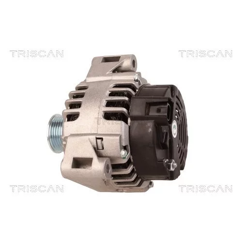 Alternátor 8310 10096 /TRISCAN/ - obr. 7