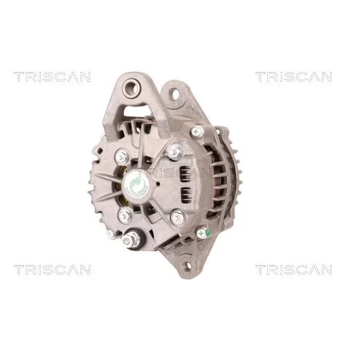 Alternátor 8310 10116 /TRISCAN/ - obr. 1
