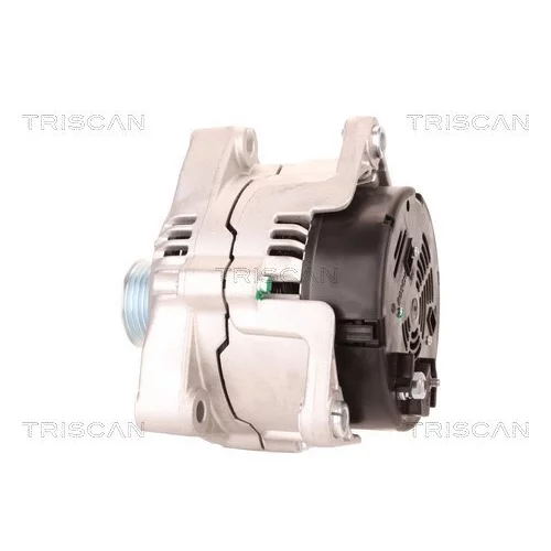 Alternátor 8310 10116 /TRISCAN/ - obr. 7