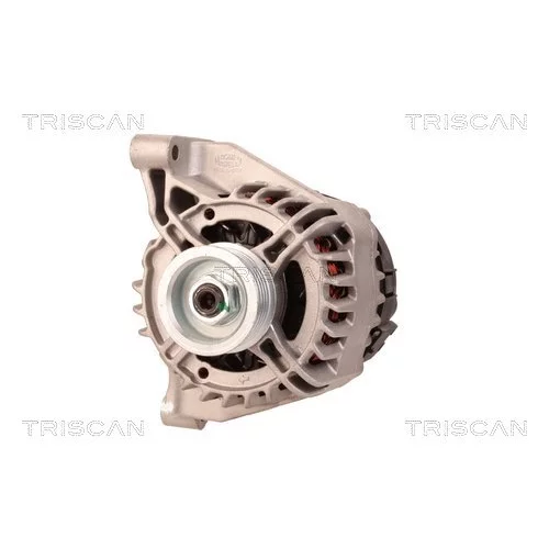Alternátor 8310 10140 /TRISCAN/ - obr. 5