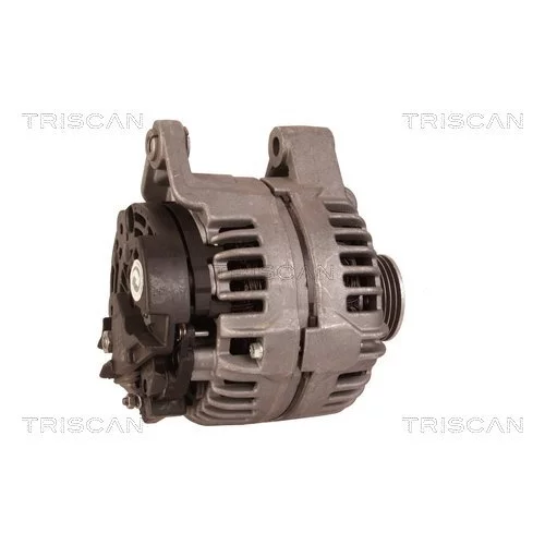 Alternátor 8310 10145 /TRISCAN/ - obr. 2