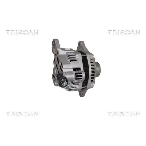 Alternátor 8310 10146 /TRISCAN/ - obr. 2