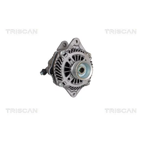 Alternátor 8310 10146 /TRISCAN/ - obr. 4