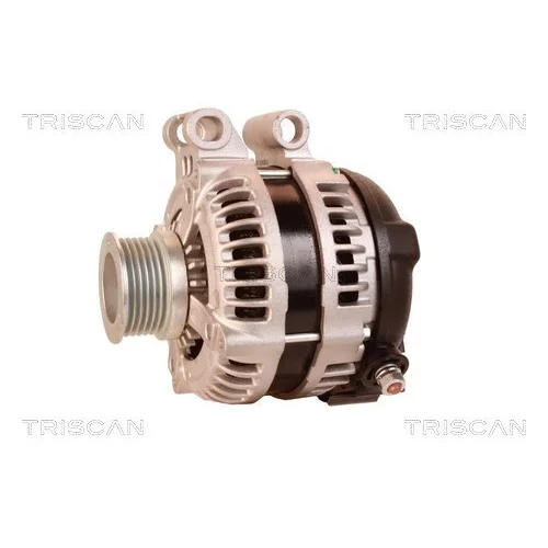 Alternátor 8310 10148 /TRISCAN/ - obr. 6