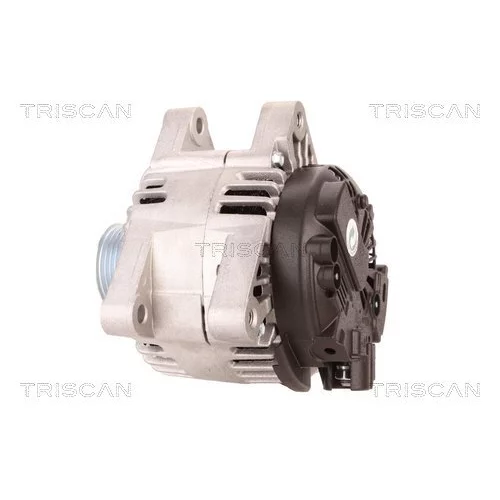 Alternátor 8310 10156 /TRISCAN/ - obr. 7