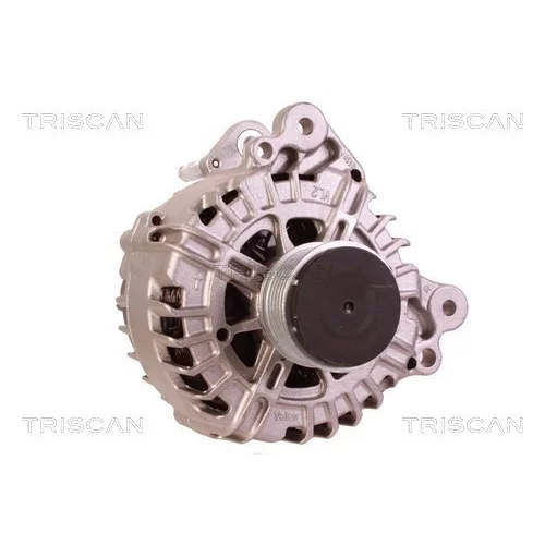 Alternátor 8310 10165 /TRISCAN/ - obr. 4