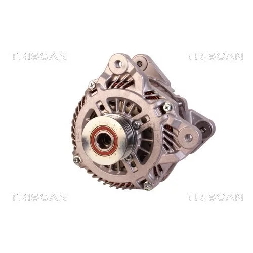 Alternátor 8310 13050 /TRISCAN/ - obr. 5