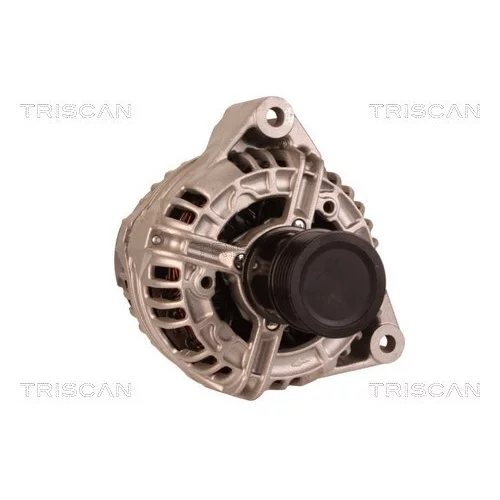 Alternátor 8310 14013 /TRISCAN/ - obr. 4