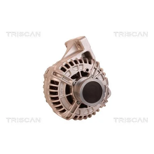 Alternátor 8310 15019 /TRISCAN/ - obr. 4