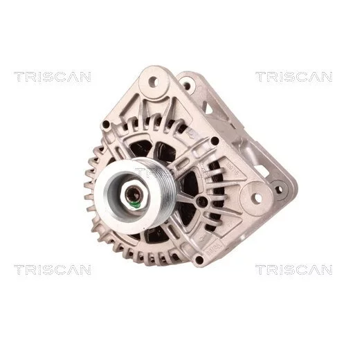 Alternátor 8310 16019 /TRISCAN/ - obr. 5