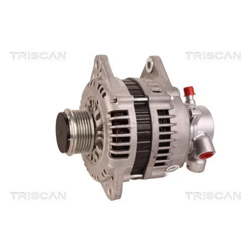 Alternátor 8310 16022 /TRISCAN/ - obr. 6