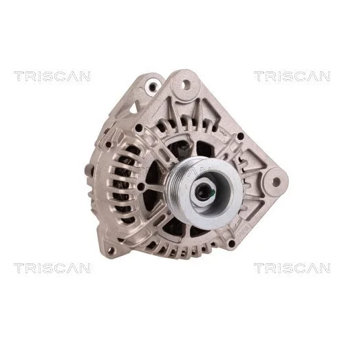 Alternátor 8310 16028 /TRISCAN/ - obr. 4