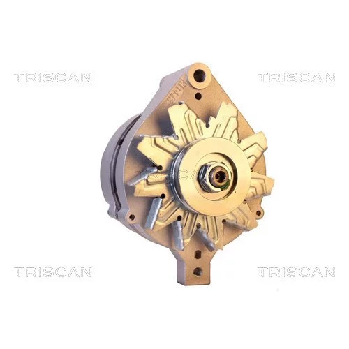 Alternátor 8310 16042 /TRISCAN/ - obr. 7