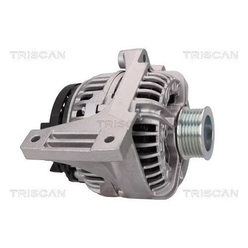 Alternátor 8310 23021 /TRISCAN/ - obr. 3