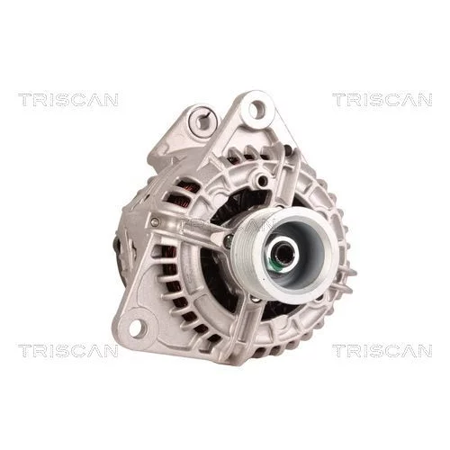 Alternátor 8310 23027 /TRISCAN/ - obr. 4