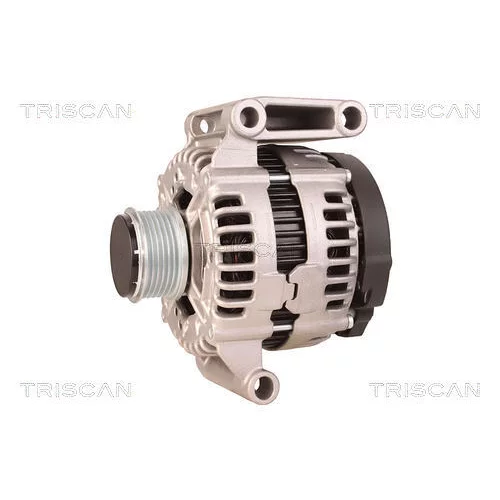 Alternátor 8310 23038 /TRISCAN/ - obr. 6