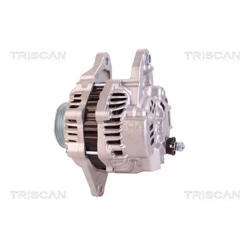 Alternátor 8310 24014 /TRISCAN/ - obr. 7