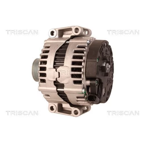 Alternátor 8310 24022 /TRISCAN/ - obr. 7