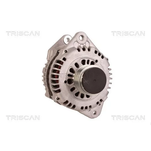 Alternátor 8310 28003 /TRISCAN/ - obr. 4