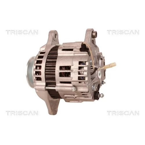 Alternátor 8310 29011 /TRISCAN/ - obr. 7