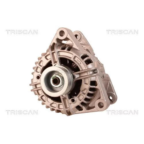 Alternátor 8310 29023 /TRISCAN/ - obr. 5