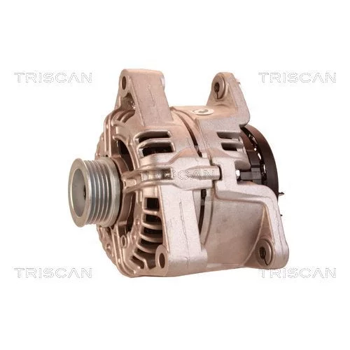 Alternátor 8310 29023 /TRISCAN/ - obr. 6
