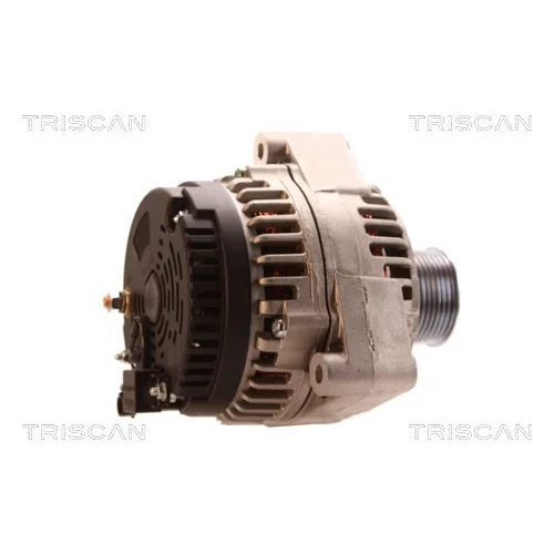 Alternátor 8310 29024 /TRISCAN/ - obr. 2