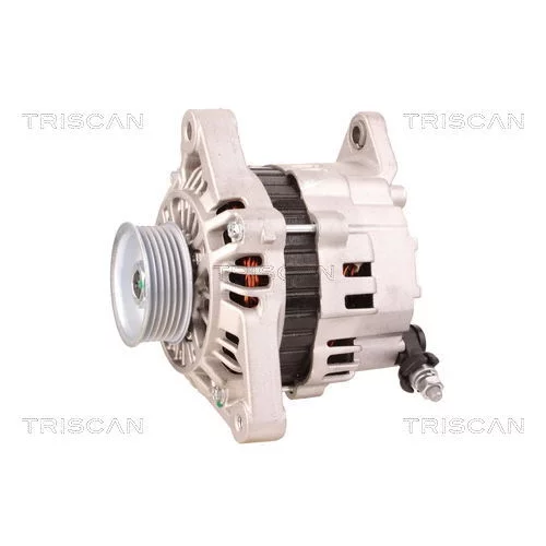 Alternátor 8310 29043 /TRISCAN/ - obr. 6