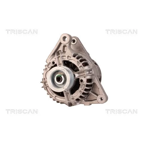 Alternátor 8310 29051 /TRISCAN/ - obr. 5