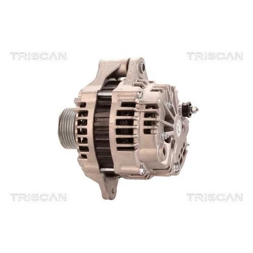 Alternátor 8310 43019 /TRISCAN/ - obr. 7