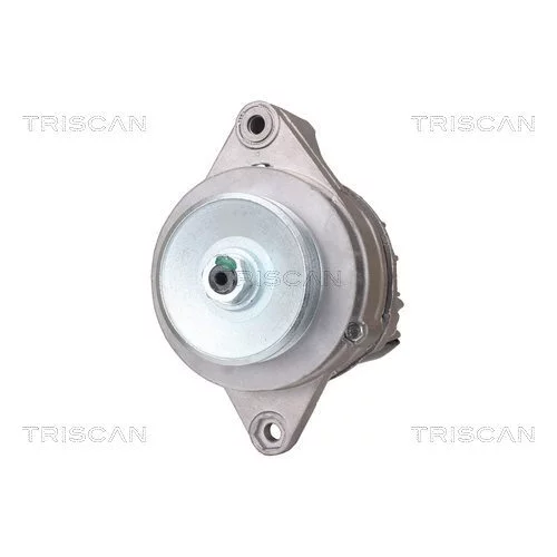 Alternátor TRISCAN 8310 50003