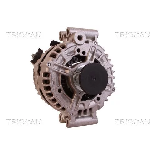 Alternátor 8310 68005 /TRISCAN/ - obr. 4