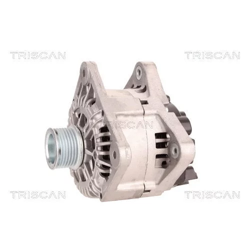 Alternátor 8310 68005 /TRISCAN/ - obr. 6