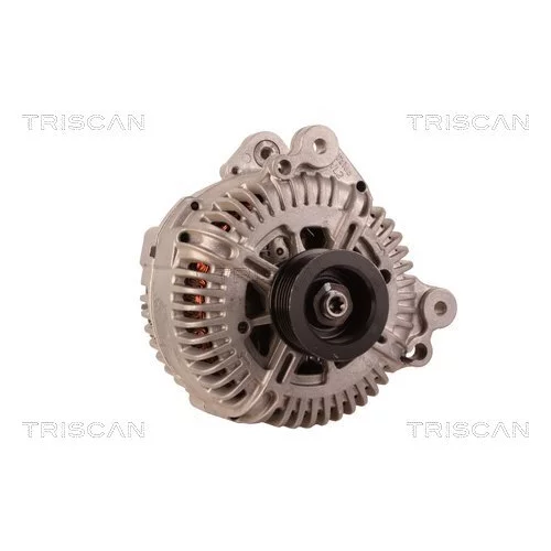 Alternátor 8310 68009 /TRISCAN/ - obr. 4