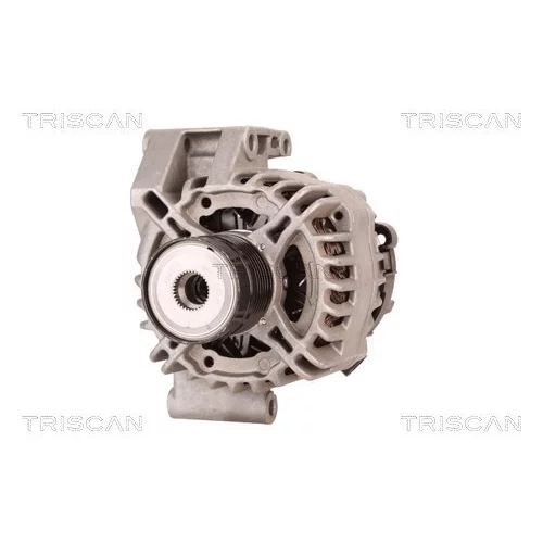 Alternátor 8310 69009 /TRISCAN/ - obr. 5
