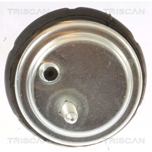 Uloženie motora 8505 11102 /TRISCAN/ - obr. 1