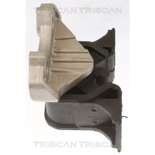 Uloženie motora 8505 24109 /TRISCAN/ - obr. 1