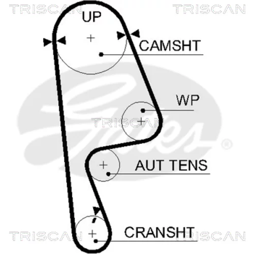 Ozubený remeň TRISCAN 8645 5593xs