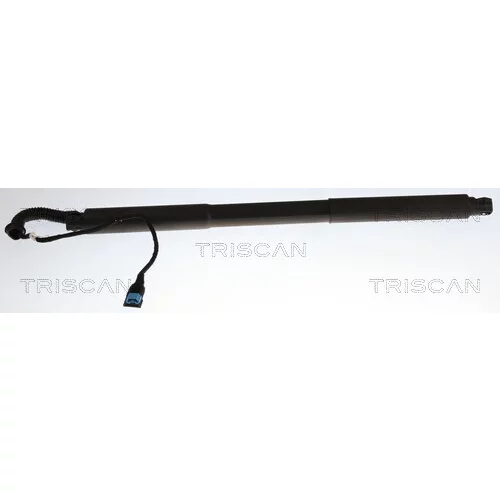 Pneumatická pružina, Batožinový/nákladný priestor TRISCAN 8710 11374