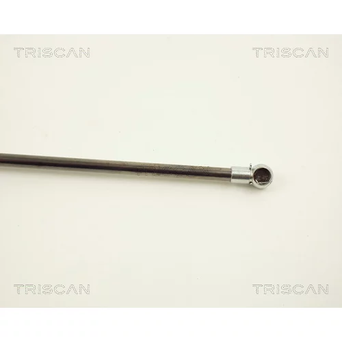 Pneumatická pružina, Batožinový/nákladný priestor 8710 12205 /TRISCAN/ - obr. 2