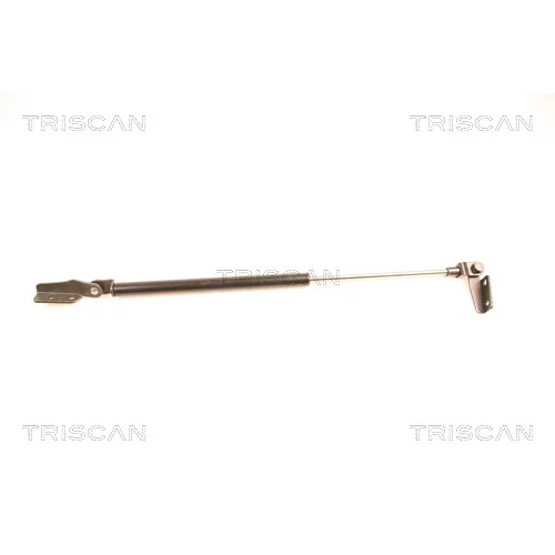 Pneumatická pružina, Batožinový/nákladný priestor TRISCAN 8710 14232