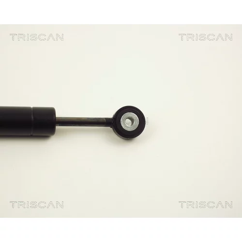 Tlmič vibrácií rebrovaného klinového remeňa 8710 2313 /TRISCAN/ - obr. 2
