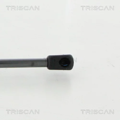 Pneumatická pružina, Batožinový/nákladný priestor 8710 23249 /TRISCAN/ - obr. 2